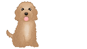 Happy Dog Goldendoodle Sticker by zoopeez