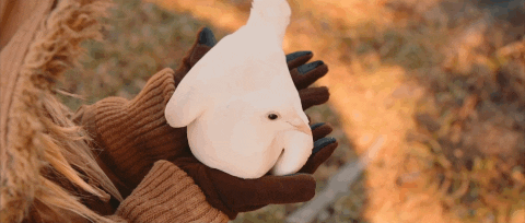 music video secrets GIF by Radical Face