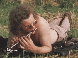 Flute Ffaa GIF by Fries Film & Audio Archief