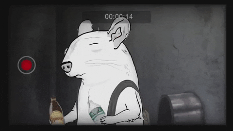 season 1 cats GIF by Animals