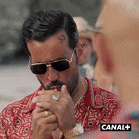 Jonathan Cohen Humour GIF by CANAL+