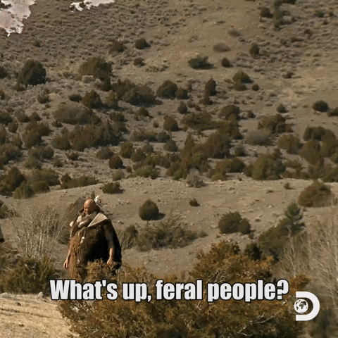 Greeting Whats Up GIF by Discovery