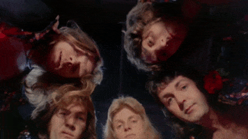 red rose speedway wings GIF by Paul McCartney