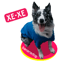 Dog Sticker by BANANADOG
