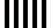 Schwarz-Weiss Football GIF by SK Sturm Graz