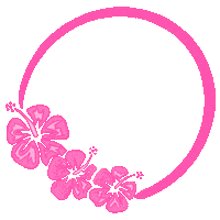 Hibiscus Stayyou Sticker