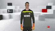 Posing Line Up GIF by Bundesliga