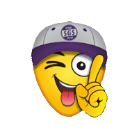 Bundesliga Sgs Sticker by SGS-Essen