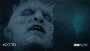 Hbo GIF by Game of Thrones