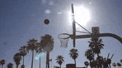 basketball GIF by Bacardi Flavors