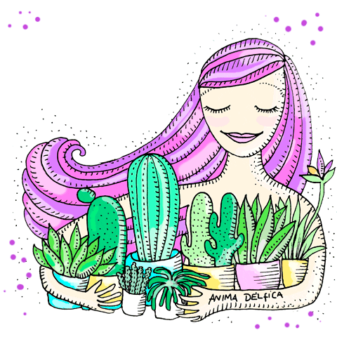 Plants Cactus Sticker