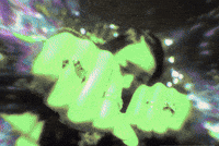 Visa Posse GIF