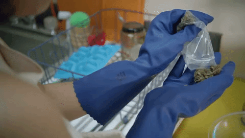 broadcity giphydvr season 2 episode 3 broad city GIF