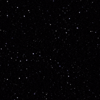 New Year Wishes GIF by Maria Johnsen