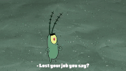 season 10 episode 3 GIF by SpongeBob SquarePants