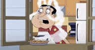 Family Guy Wtf GIF