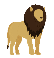 Big Cat Lion Sticker by Morris Animal Foundation