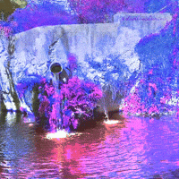 Pink Love GIF by dualvoidanima