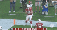 Regular Season Football GIF by NFL