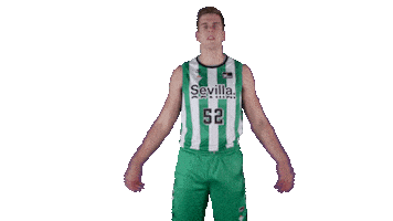 Liga Endesa Basketball Sticker by ACB