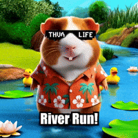 Guinea Pig River GIF by Guinea Gambino