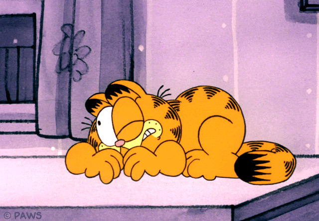 cat orange GIF by Garfield