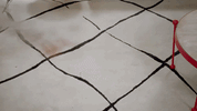 amy sedaris ah203 GIF by truTV’s At Home with Amy Sedaris