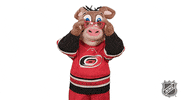 Ice Hockey GIF by NHL