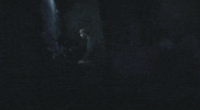 Silent Hill James Sunderland GIF