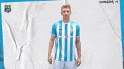 Football Tor GIF by ChemnitzerFC