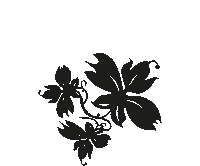 Sport Sonne Sticker by Ferienbauernhof