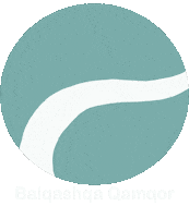 Kazakhstan Kz Sticker