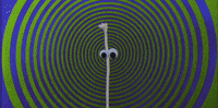 teamcoco hypnotize stringo GIF