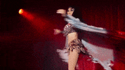 bellas de noche mexico GIF