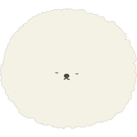 Bichon ビションフリーゼ Sticker