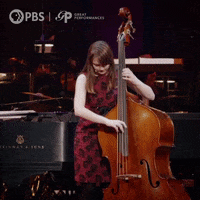 Bass Musician GIF by GREAT PERFORMANCES | PBS