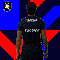 EuroVolley2019Fr volleyball volley eurovolley ffvolley GIF