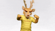 dance baile GIF by Venados FC