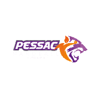 Pessac Sticker by SPUC Handball