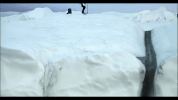 thirtysecondstomars 30 seconds to mars a beautiful lie GIF