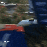 Flying Jumping Car GIF by FIA World Rally Championship