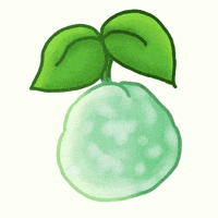 Fruit Grapefruit GIF