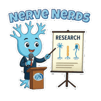 Neuroscience Plasticsurgery Sticker by The American Society for Peripheral Nerve