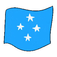 Flag Yap Sticker