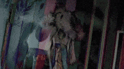 fine GIF by Tayler Buono