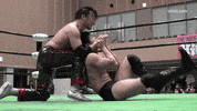 thewrestlers wrestling viceland professional wrestling the wrestlers GIF