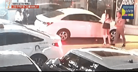 qwerpoiu22ppop giphyupload GIF