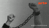 Freedom Liberation GIF by ARTEfr
