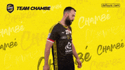 GIF by Team Chambé