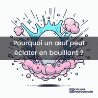 Cuisson Œuf Bouillant GIF by ExpliquePourquoi.com